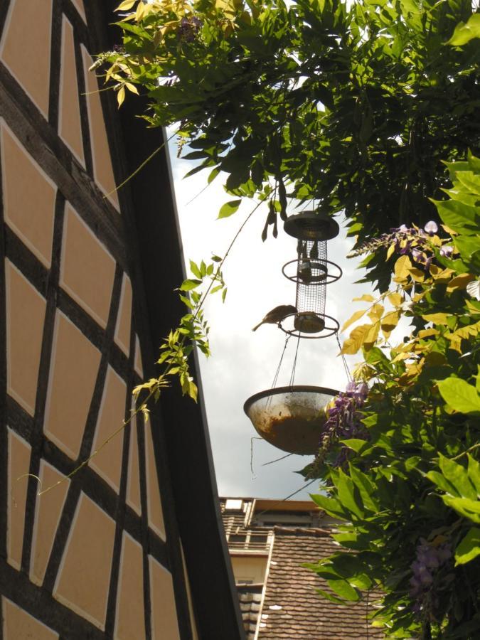 Apartamento Amtorli Endingen am Kaiserstuhl Exterior foto