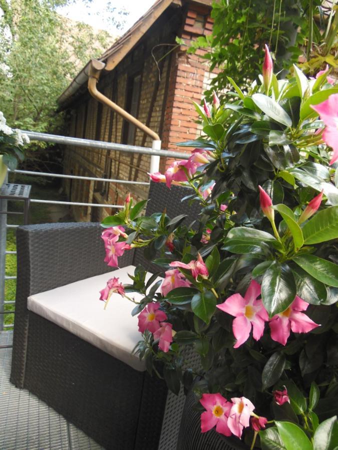 Apartamento Amtorli Endingen am Kaiserstuhl Exterior foto